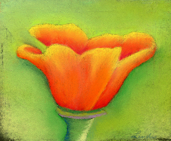 californiaPoppy003Resized